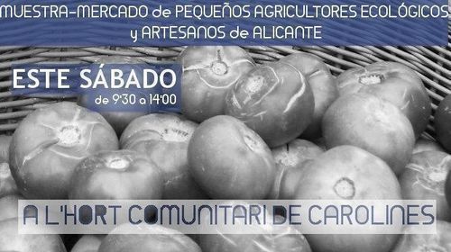 Mercado agroecológico y artesano de Carolines